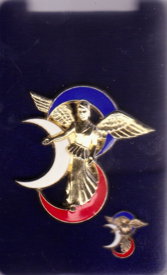 3e DB (insigne et pin's - série spéciale dissolution)